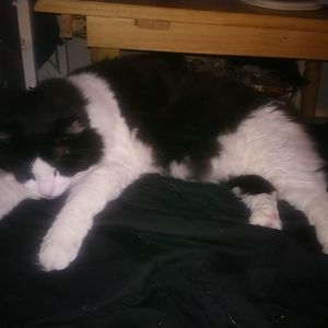 Meet your Posher, Matt